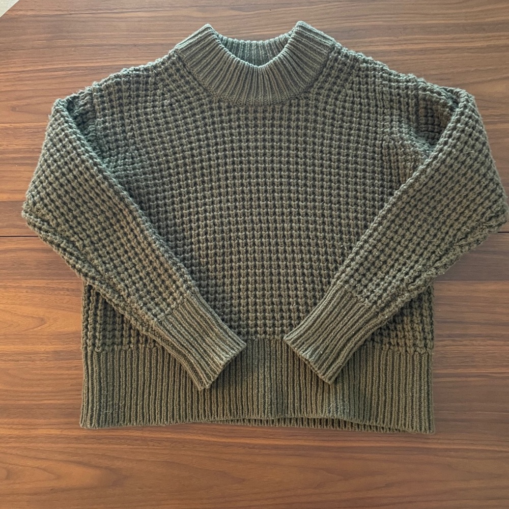 Everlane chunky wool ribbed knit sweater